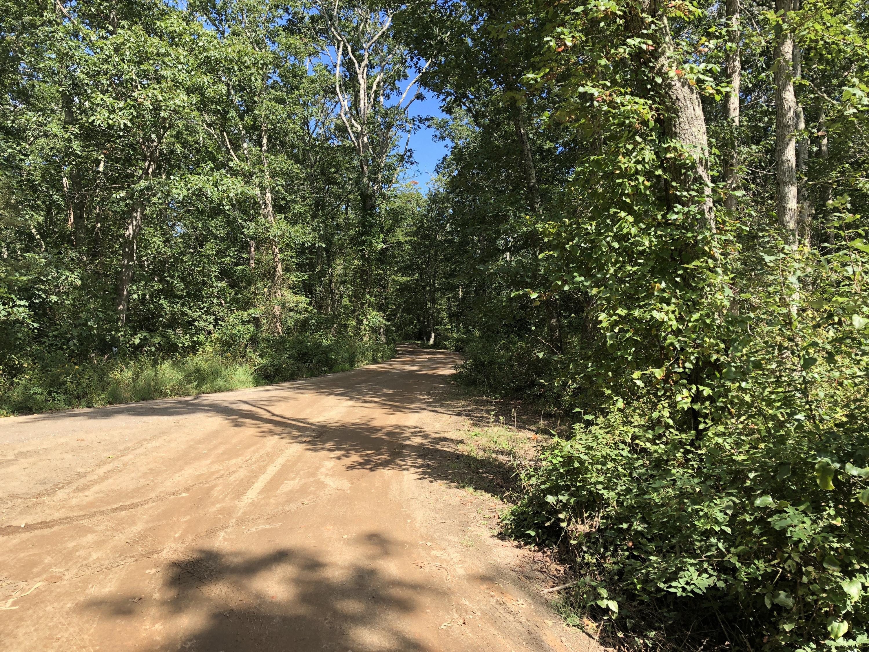 25 Luce Farm Road West Tisbury, MA 02568 - Photo 24 of 26 a view of a yard with a tree