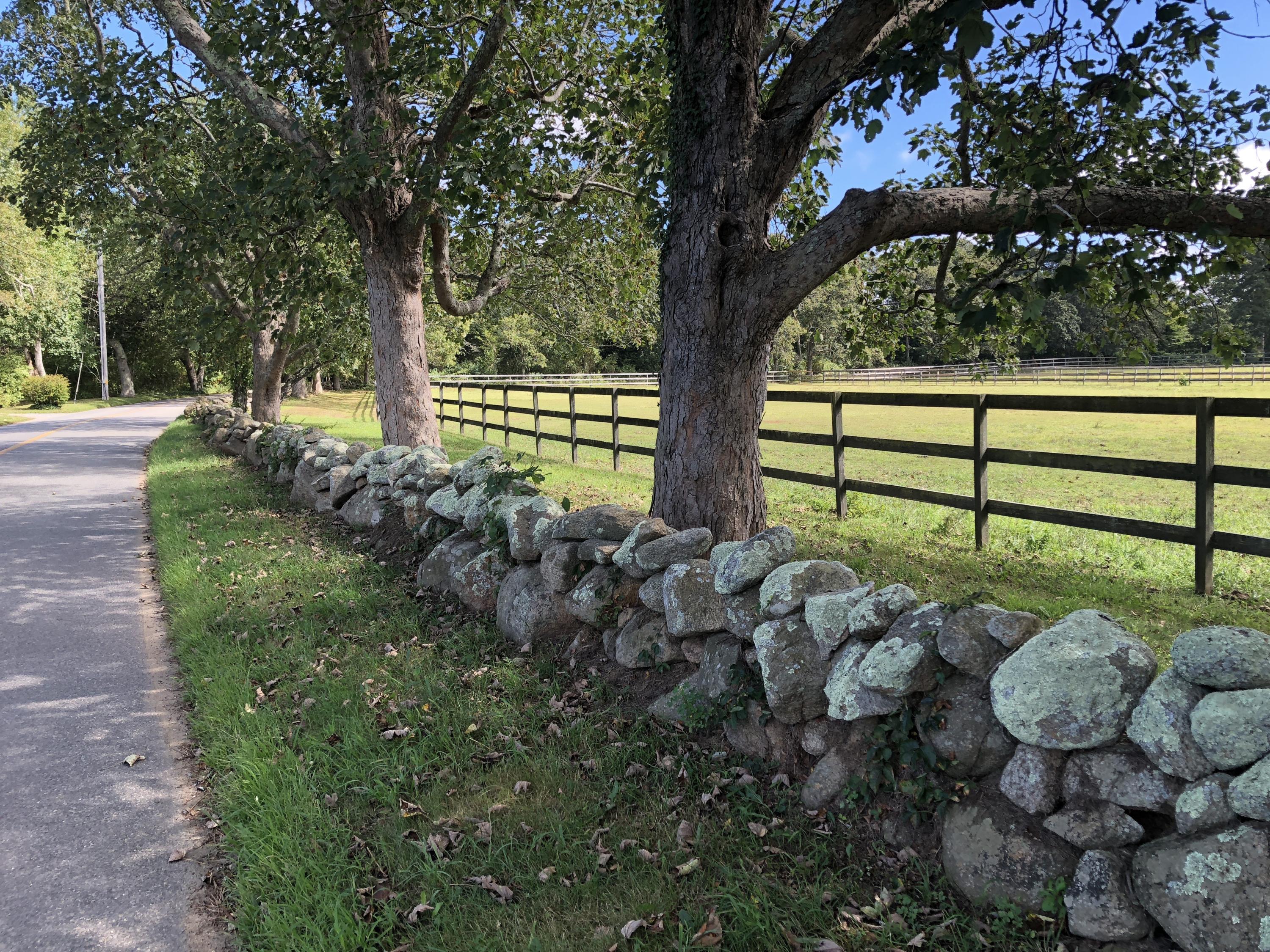 25 Luce Farm Road West Tisbury, MA 02568 - Photo 25 of 26 a view of a yard with large trees