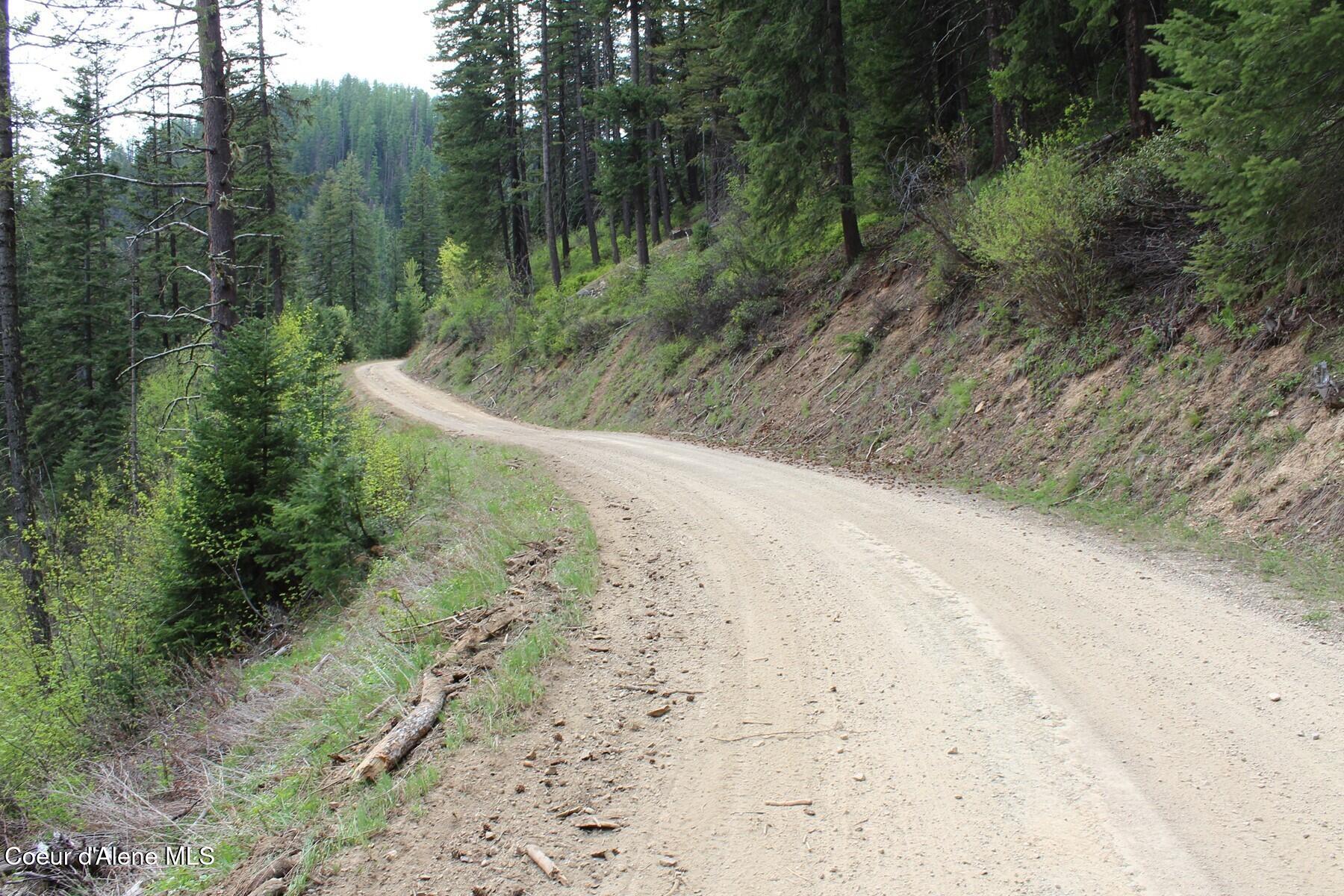 19 A Daisy Gulch Road Mullan, ID 83846 - Photo 24 of 33 Daisy Gulch Road