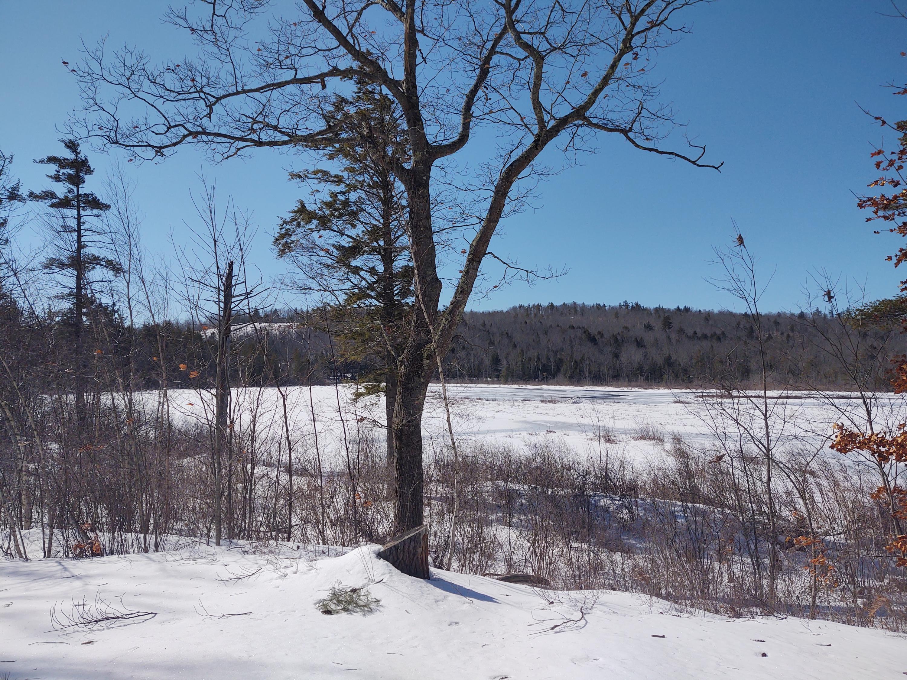 233 Flat Ground Road Acton, ME 04001 - Photo 26 of 33 IMG_20210302_105219943 (002)