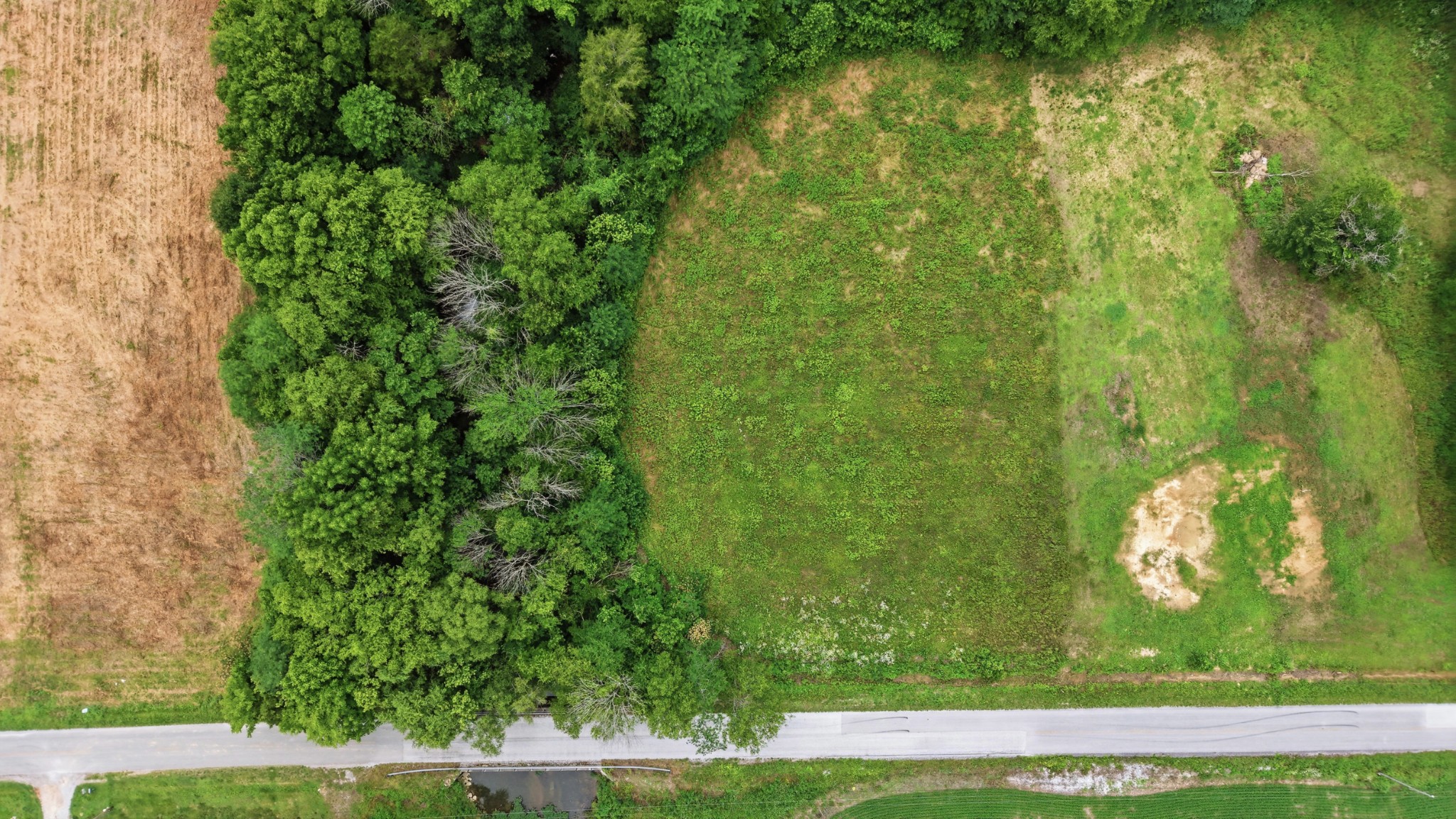 0 Hickory Grove Road Morrison, TN 37357 - Photo 5 of 15