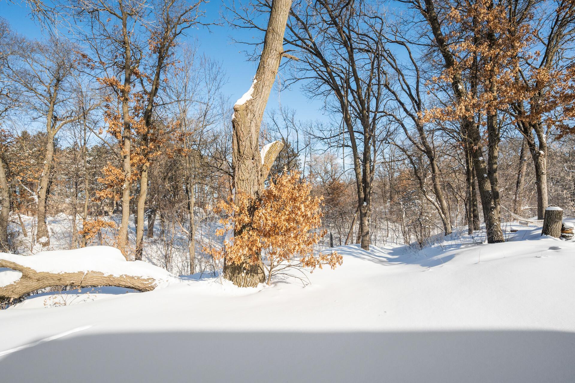 315 Whiskey Road Southwest Isanti, MN 55040 - Photo 8 of 48 Gallery Image 8