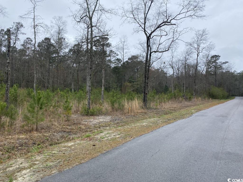 Tbd Allsbrook Road Loris, SC 29569 - Photo 2 of 3 Gallery Image 2