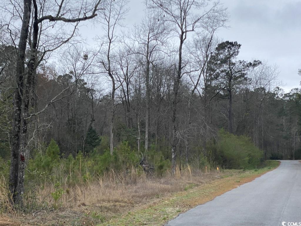 Tbd Allsbrook Road Loris, SC 29569 - Photo 3 of 3 Gallery Image 3
