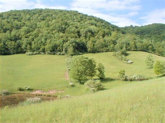 248 Somerset Farm Road Meadow Bridge, WV 25976 - Photo 63 of 98 Gallery Image 63