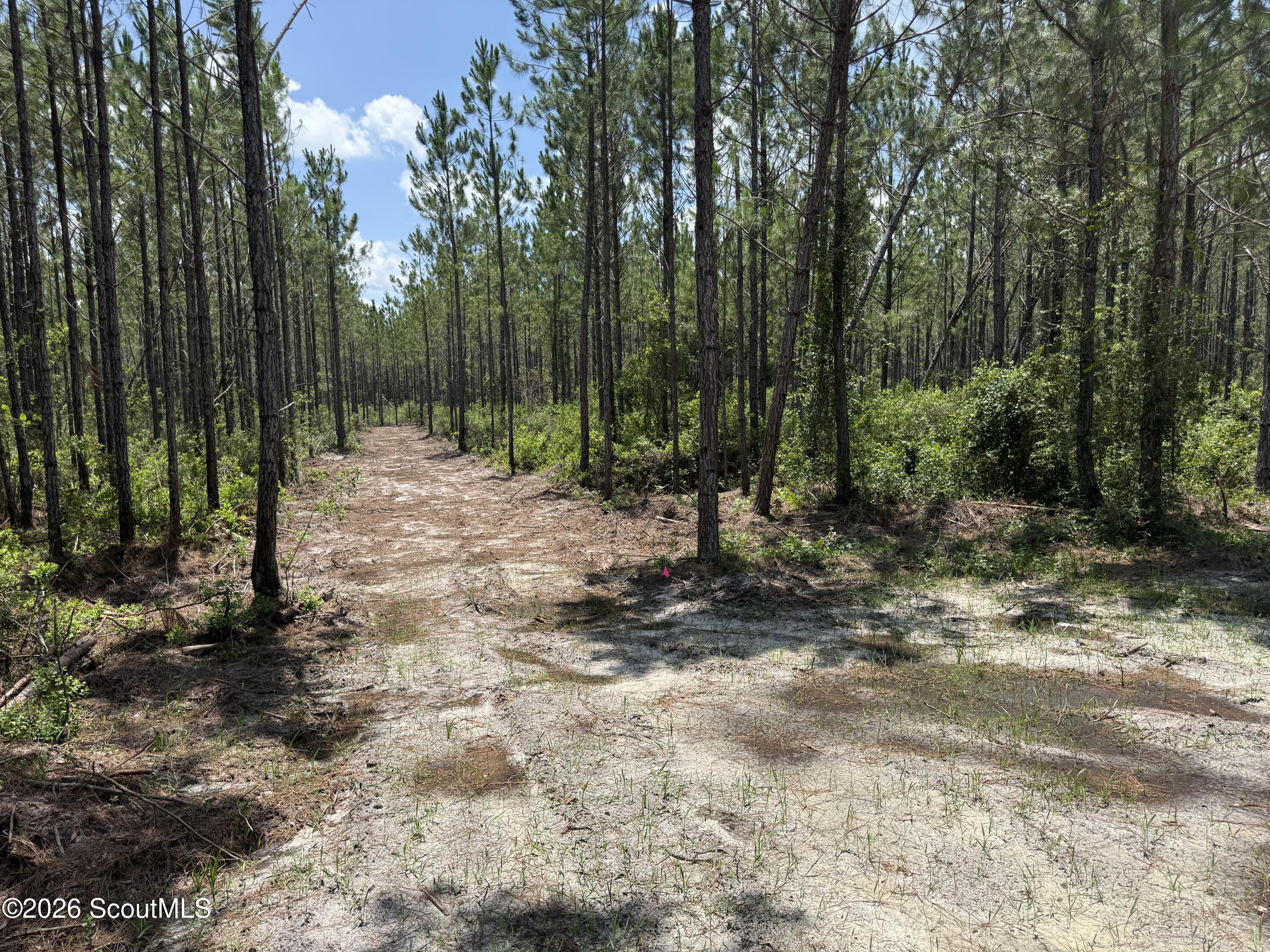 Lot 5 Corbitt Road, Unit LOT 5 Manor, GA 31550 - Photo 10 of 11 IMG_8011