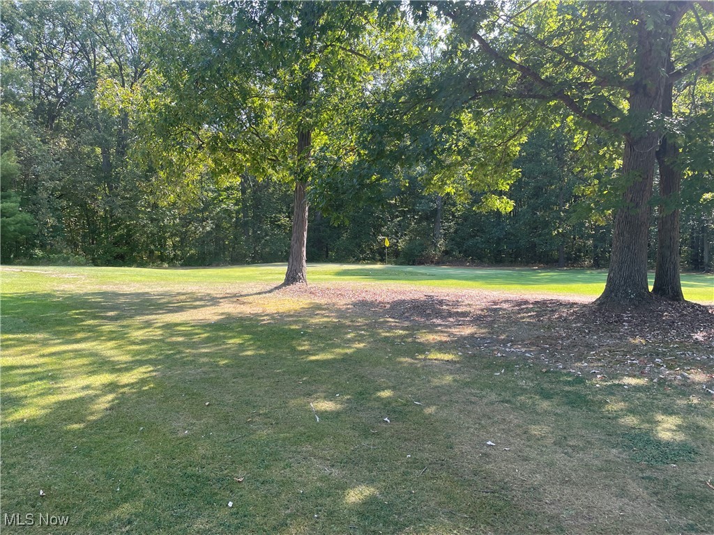 9889 New Road North Jackson, OH 44451 - Photo 27 of 30 View of yard