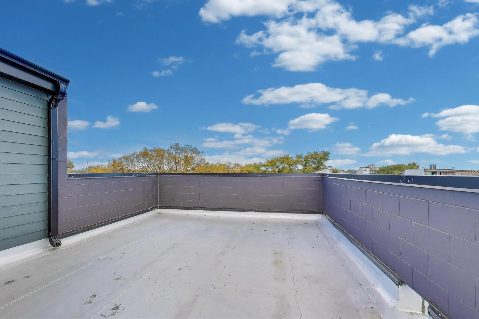 2456 West Cortez Street, Unit 3E Chicago, IL 60622 - Photo 38 of 46 a view of balcony