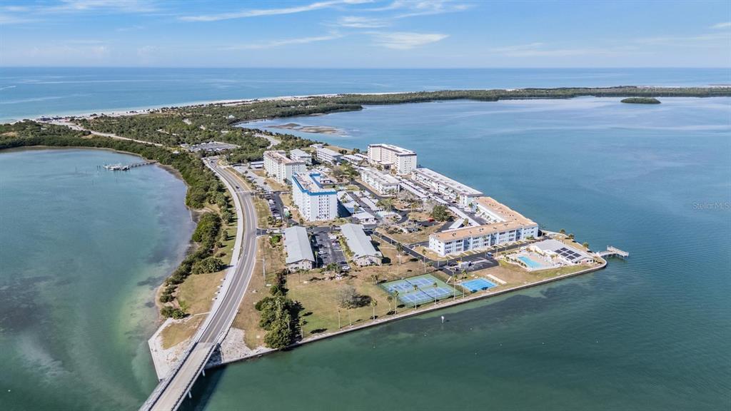 9 Forbes Place, Unit 211 Dunedin, FL 34698 - Photo 49 of 60