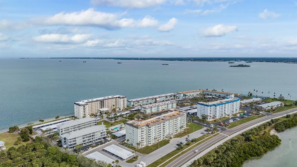 9 Forbes Place, Unit 211 Dunedin, FL 34698 - Photo 51 of 60