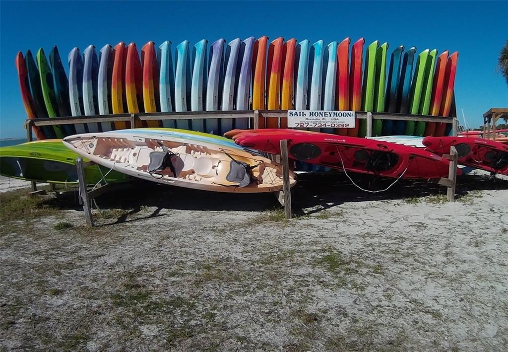 9 Forbes Place, Unit 211 Dunedin, FL 34698 - Photo 54 of 60