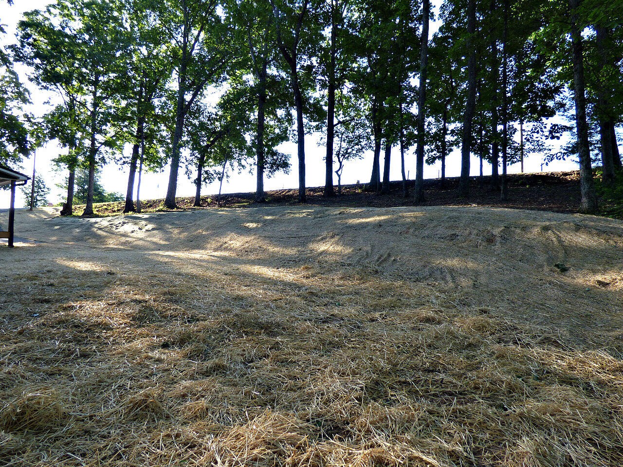 660 Chestnut Grove Road Dandridge, TN 37725 - Photo 24 of 29 Gallery Image 24