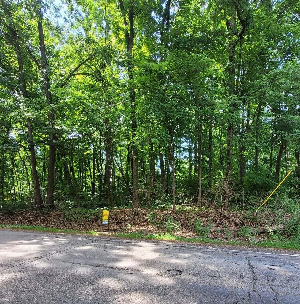 11839 Vicary Road Jerome, MI 49249 - Photo 1 of 5 Mature Trees