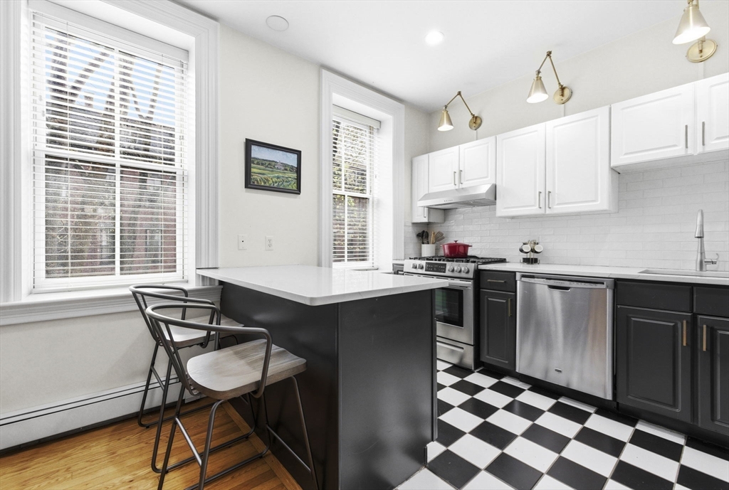 30 East Springfield Street, Unit 2 Boston, MA 02118 - Photo 5 of 15