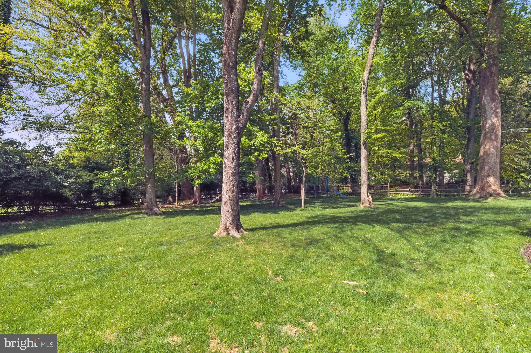 8024 Fenway Road Bethesda, MD 20817 - Photo 33 of 64 a backyard of a house with lots of plants and large tree