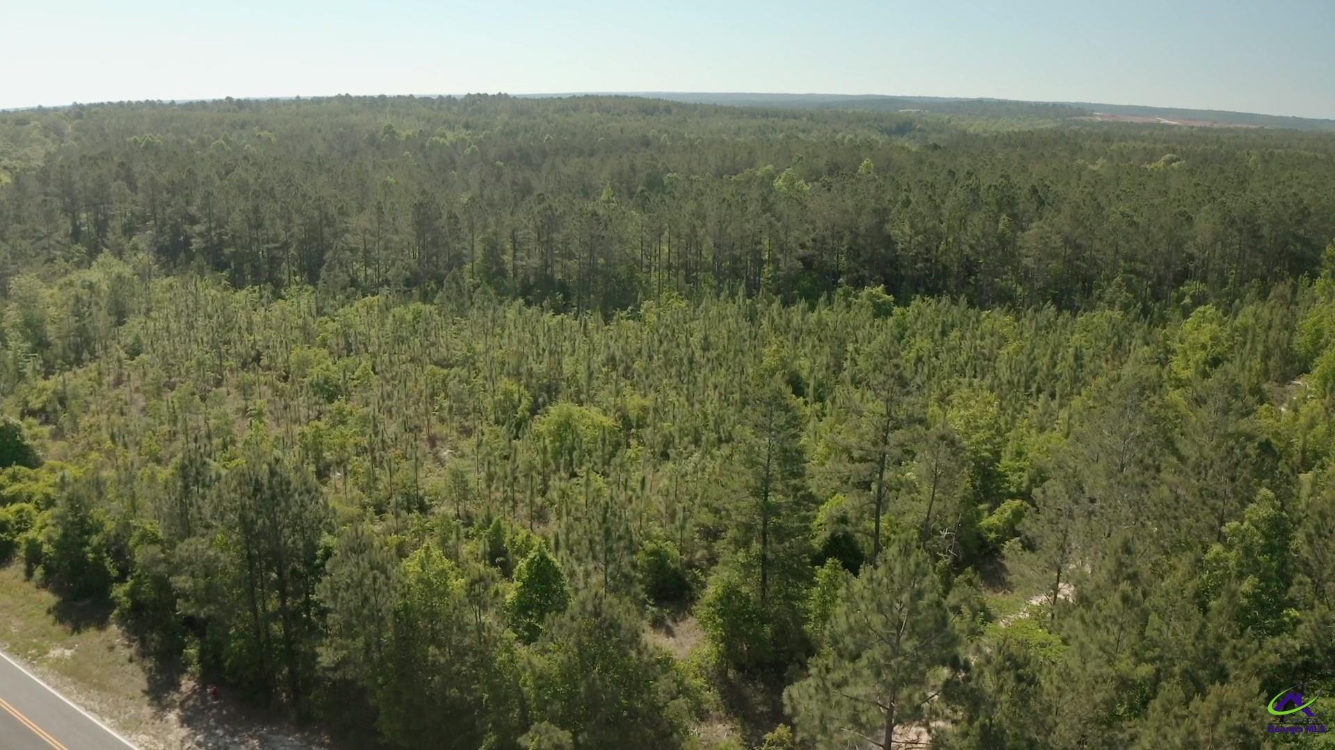 Carl Sutton Road Lizella, GA 31052 - Photo 2 of 23