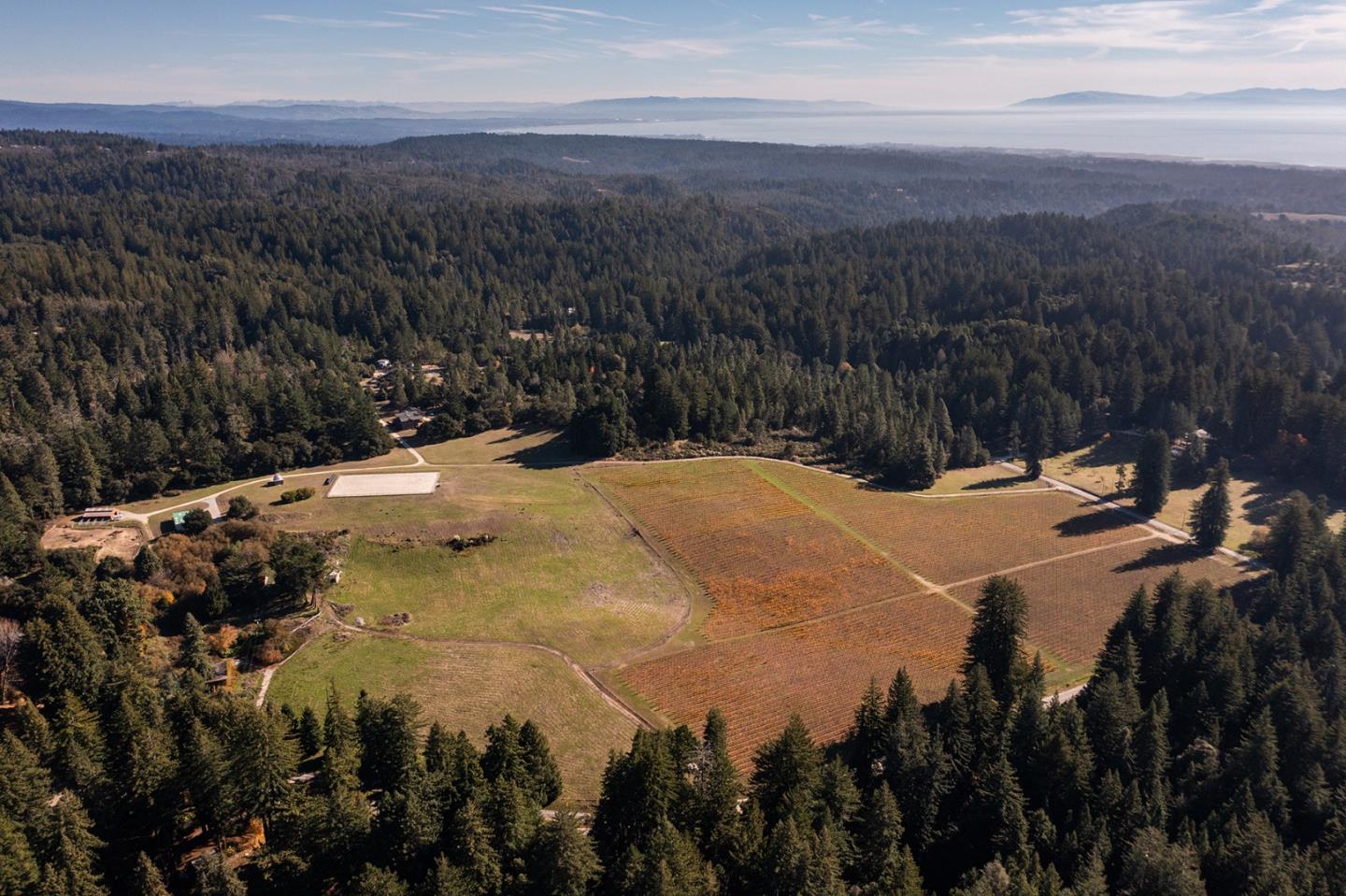 a view of a backyard of a house with a street