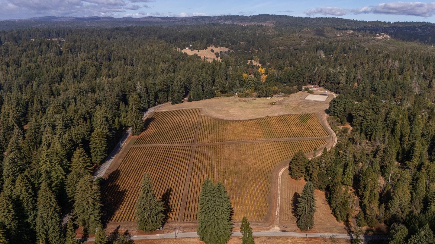 3980 Bonny Doon Road Santa Cruz, CA 95060 - Photo 16 of 26 a view of a white house with a yard