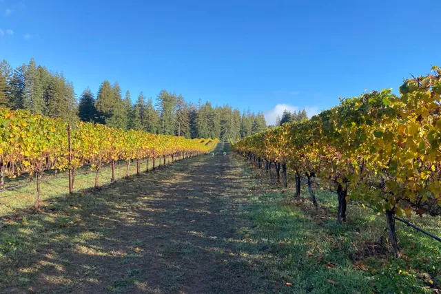 $3,995,000 | 3980 Bonny Doon Road, Santa Cruz, CA 95060