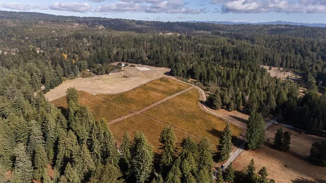 $3,995,000 | 3980 Bonny Doon Road, Santa Cruz, CA 95060