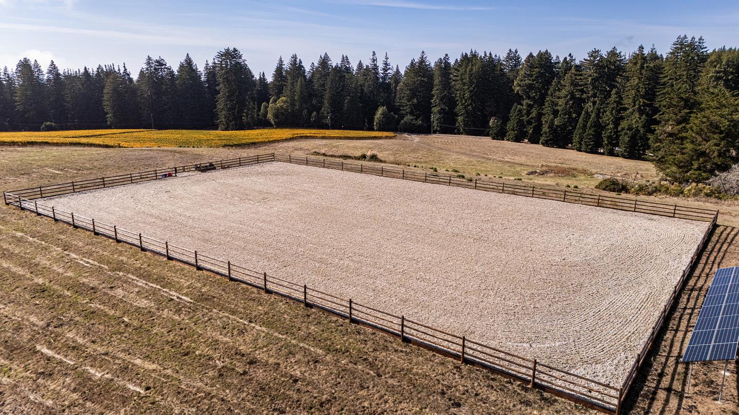 3980 Bonny Doon Road Santa Cruz, CA 95060 - Photo 6 of 26 a view of a backyard with wooden fence