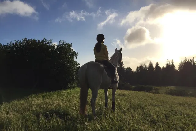 a view of a terrace with a bench