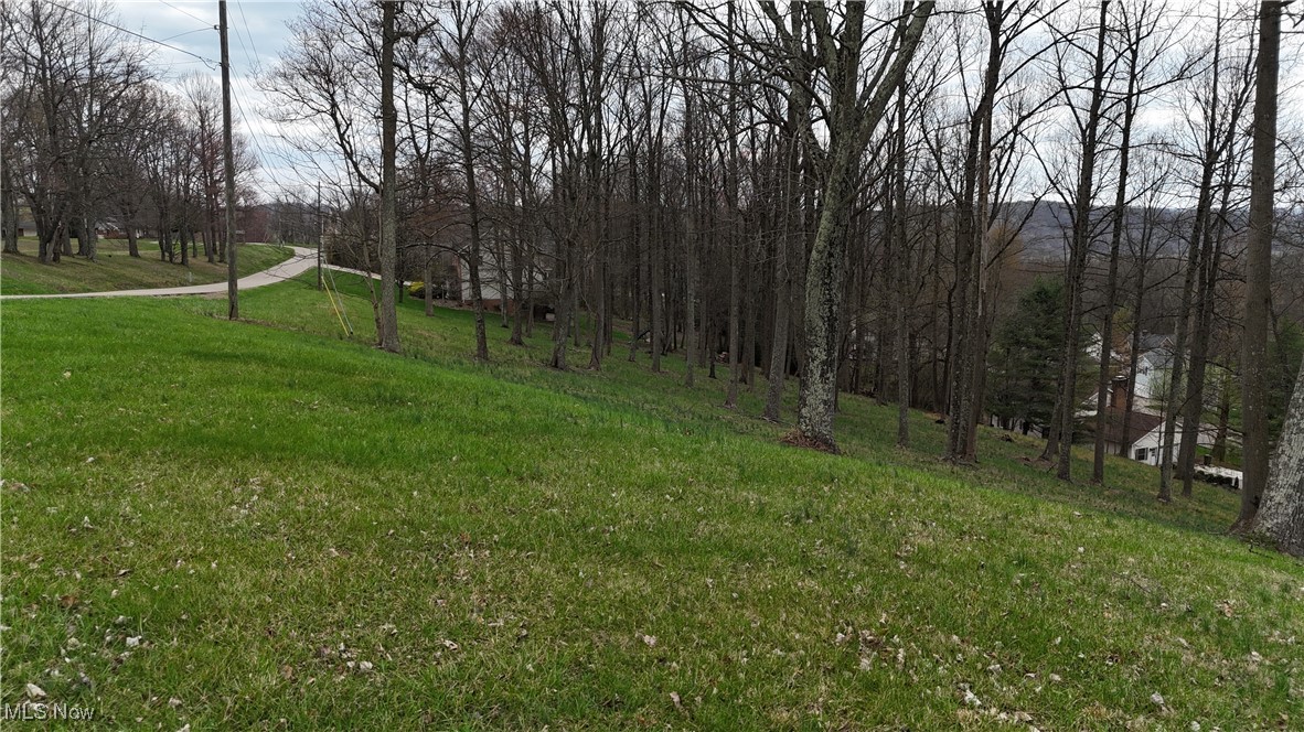 Nicholas Lane Dresden, OH 43821 - Photo 3 of 3 Gallery Image 3