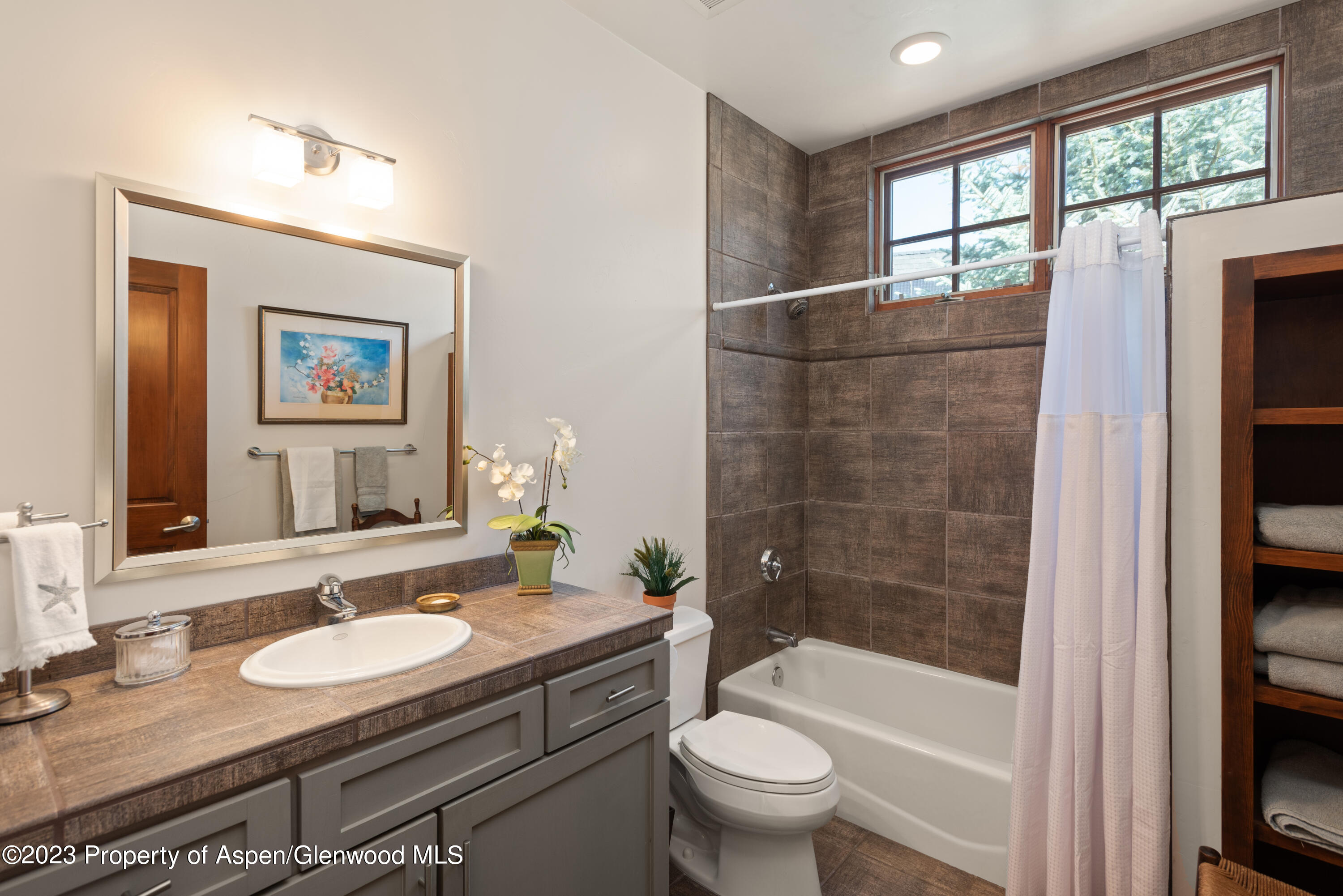 346 Sopris Circle Basalt, CO 81621 - Photo 17 of 25 a bathroom with a sink a toilet and shower