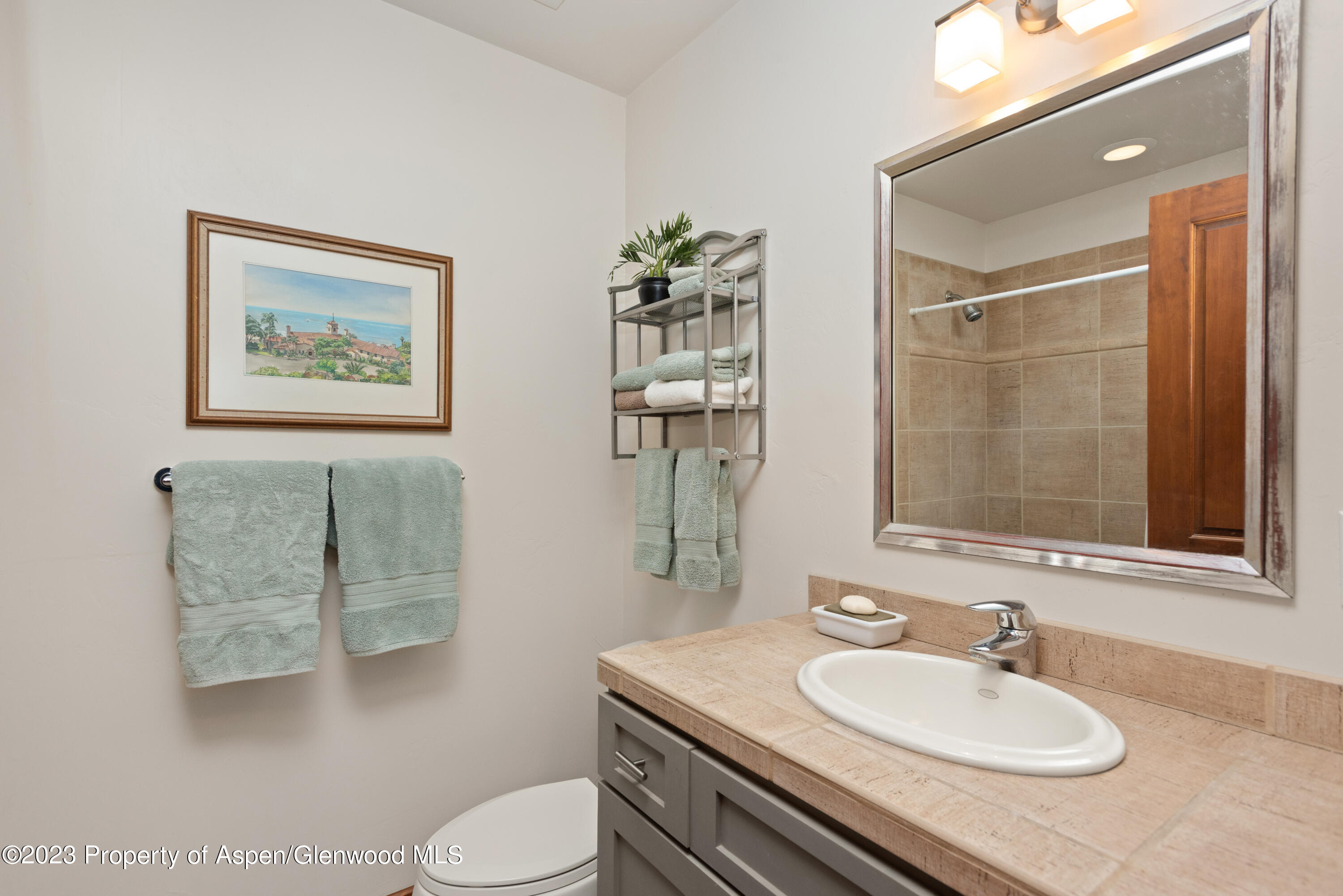 346 Sopris Circle Basalt, CO 81621 - Photo 19 of 25 a bathroom with a granite countertop sink toilet and mirror