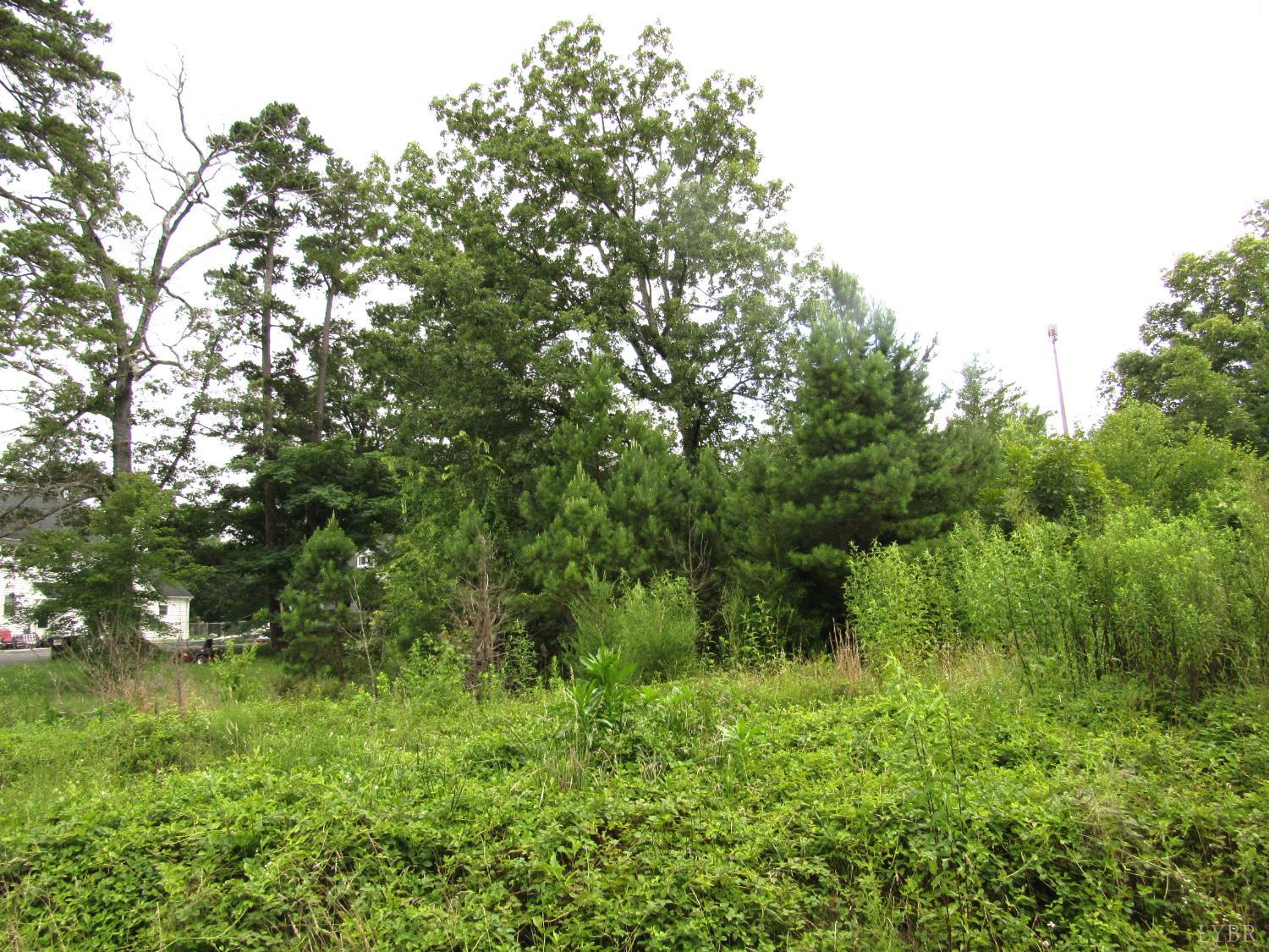 0 Lowesville Road Arrington, VA 22922 - Photo 2 of 4
