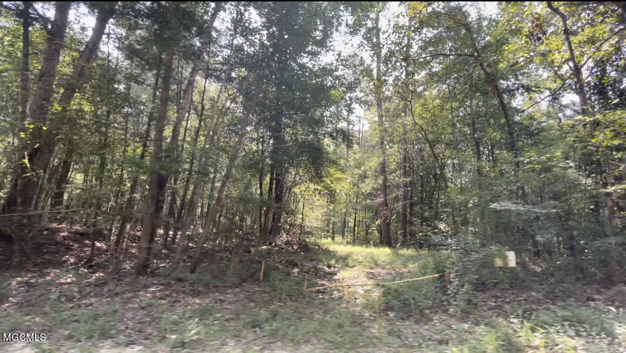 34 Price Road Perkinston, MS 39573 - Photo 8 of 13 Entrance from Creek Bank Rd