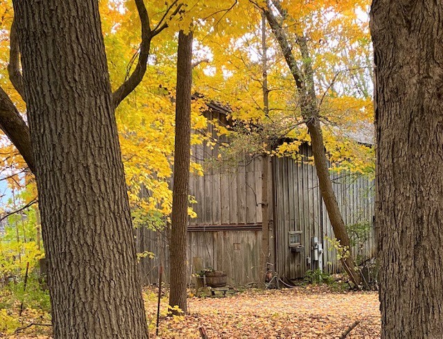 N955 Pouley Road Elburn, IL 60119 - Photo 2 of 23 a view of a pathway of a house with a tree