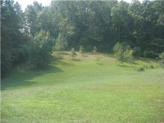 264 Bowman Road Ringgold, GA 30736 - Photo 6 of 7 Additional Photo