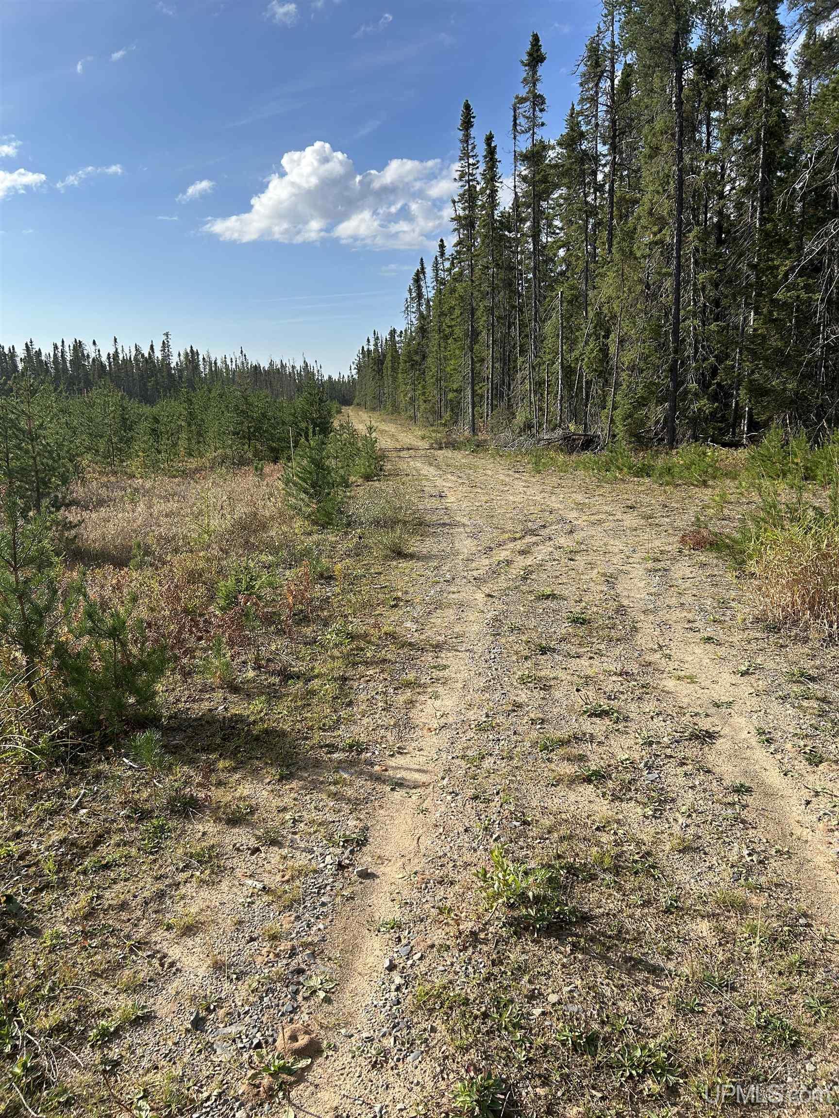 573 Rd Ishpeming Mi 49849 Road Ishpeming, MI 49849 - Photo 2 of 15