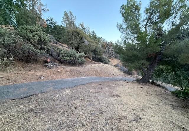 5301 Shooting Star Road Pollock Pines, CA 95726 - Photo 3 of 22