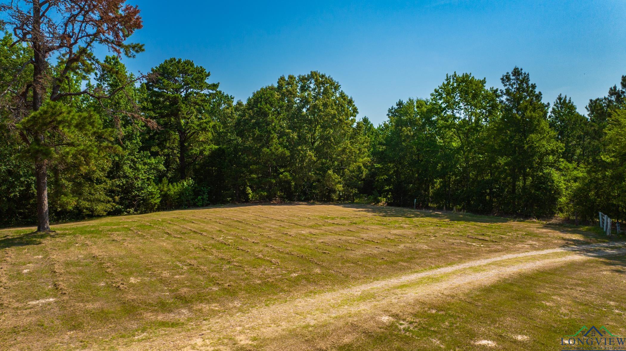 Tbd Brandy Road Diana, TX 75640 - Photo 2 of 3 Gallery Image 2