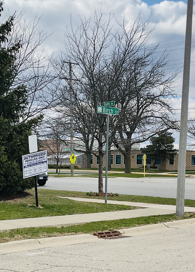2425 Birch Street Des Plaines, IL 60018 - Photo 40 of 40 a view of a park
