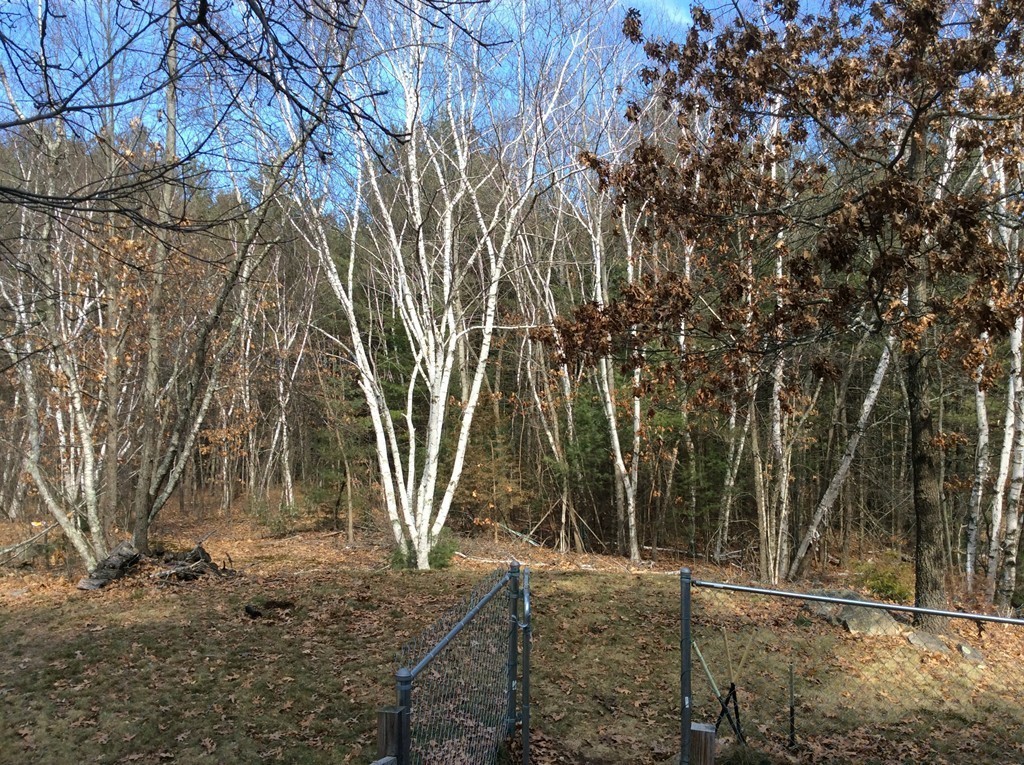 15 Line Road Westford, MA 01886 - Photo 12 of 12