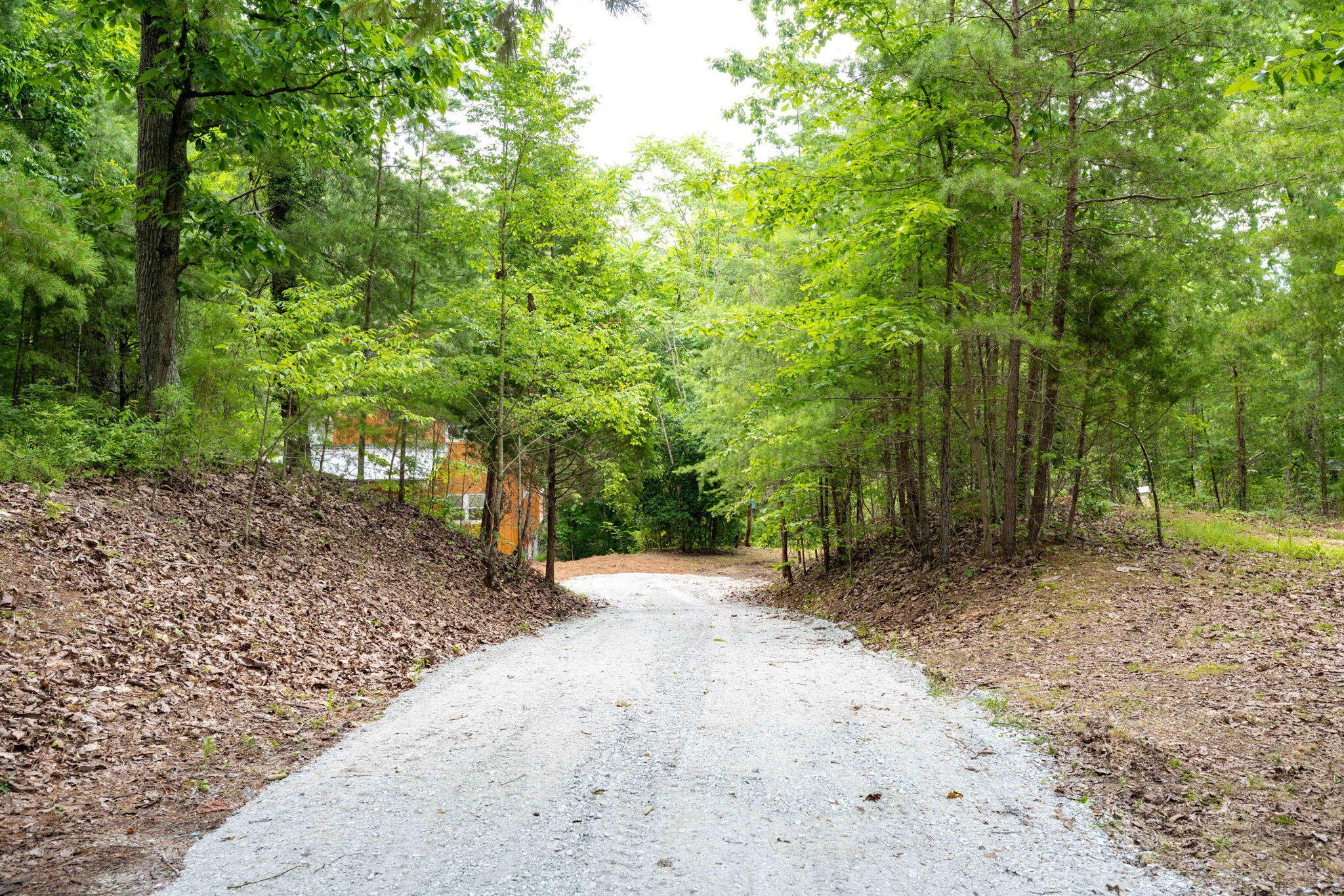 347 Hickory Drive Spring City, TN 37381 - Photo 2 of 31 2-web-or-mls-DSC_8148