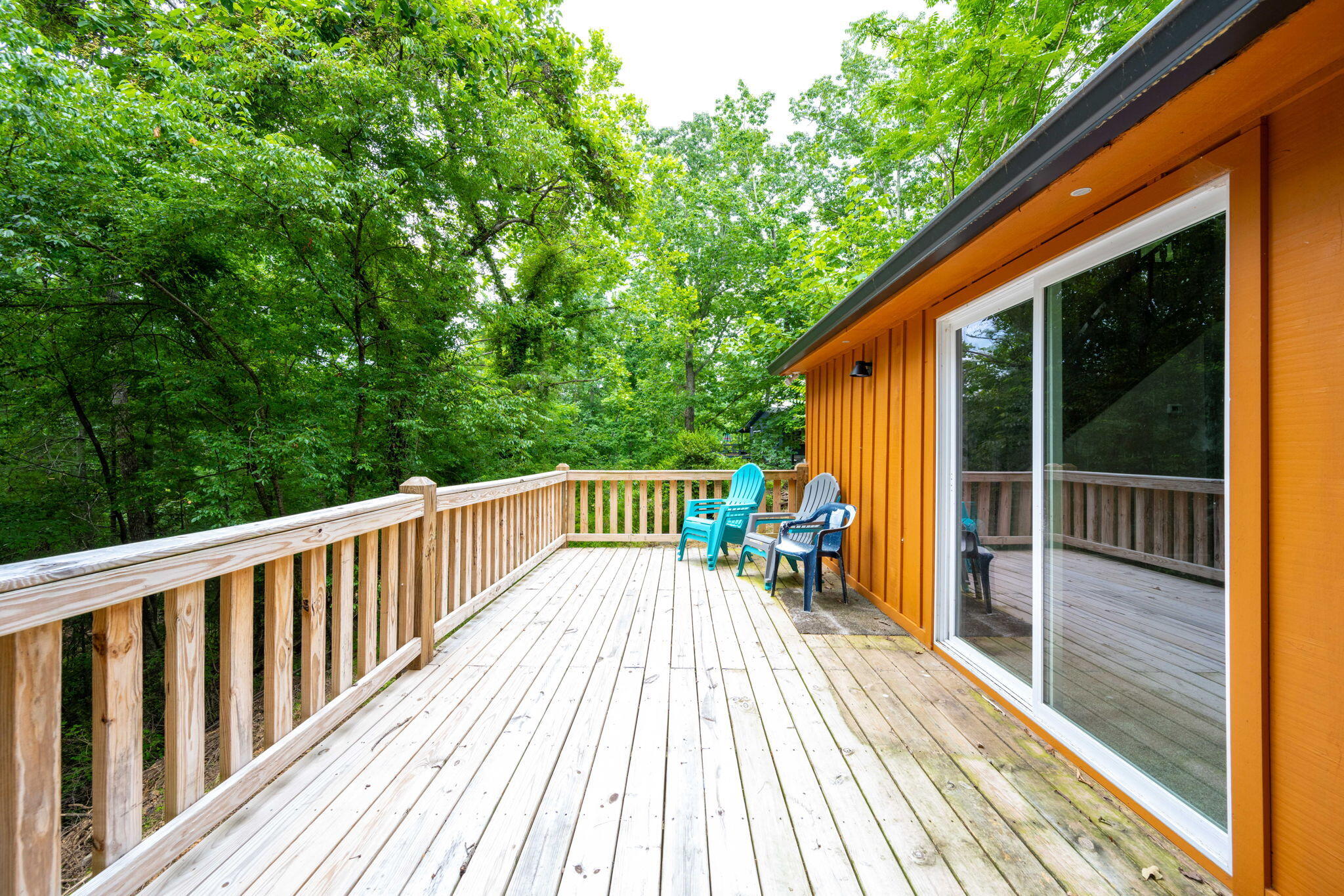 347 Hickory Drive Spring City, TN 37381 - Photo 30 of 31 30-web-or-mls-DSC_8222