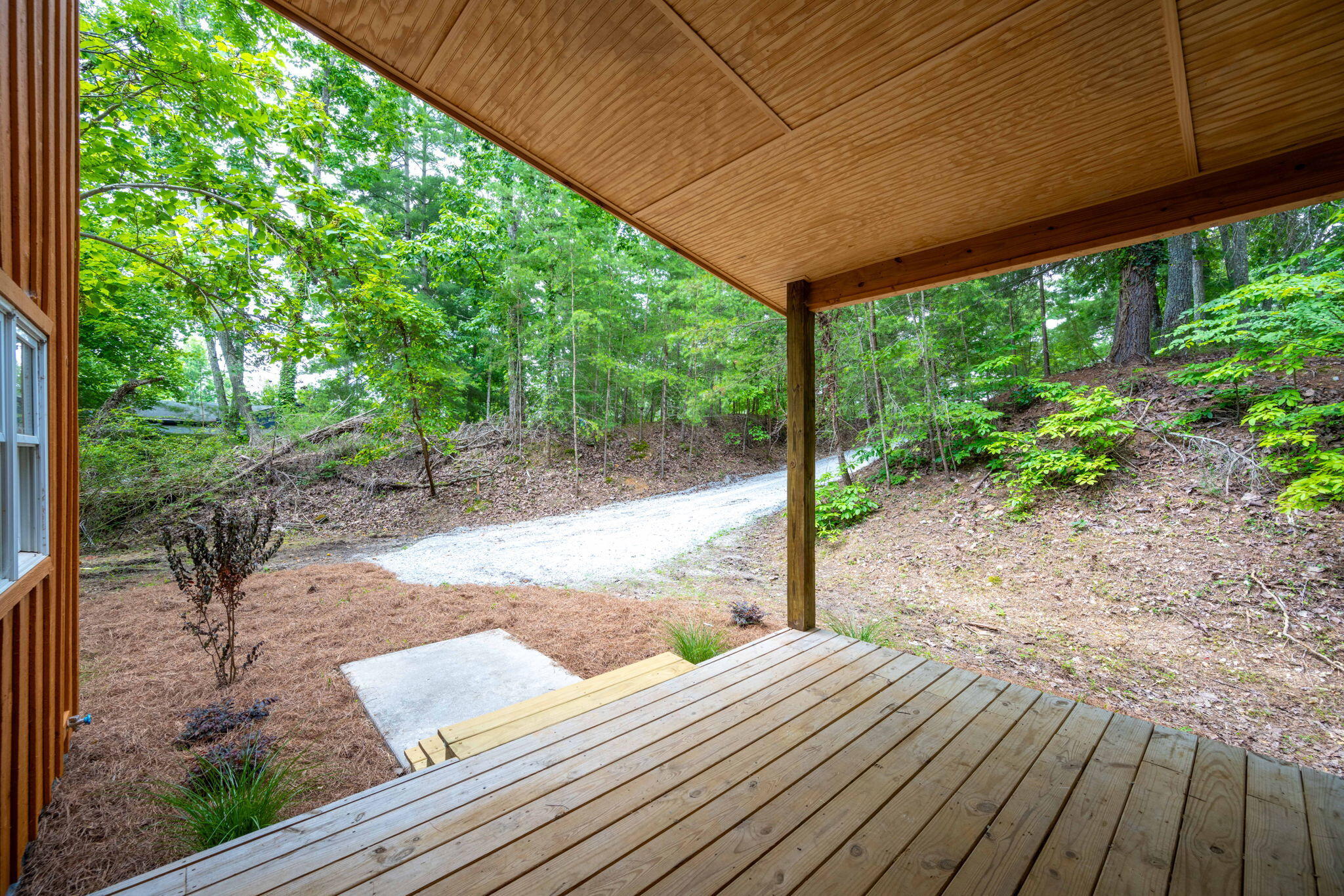 347 Hickory Drive Spring City, TN 37381 - Photo 3 of 31 3-web-or-mls-DSC_8151