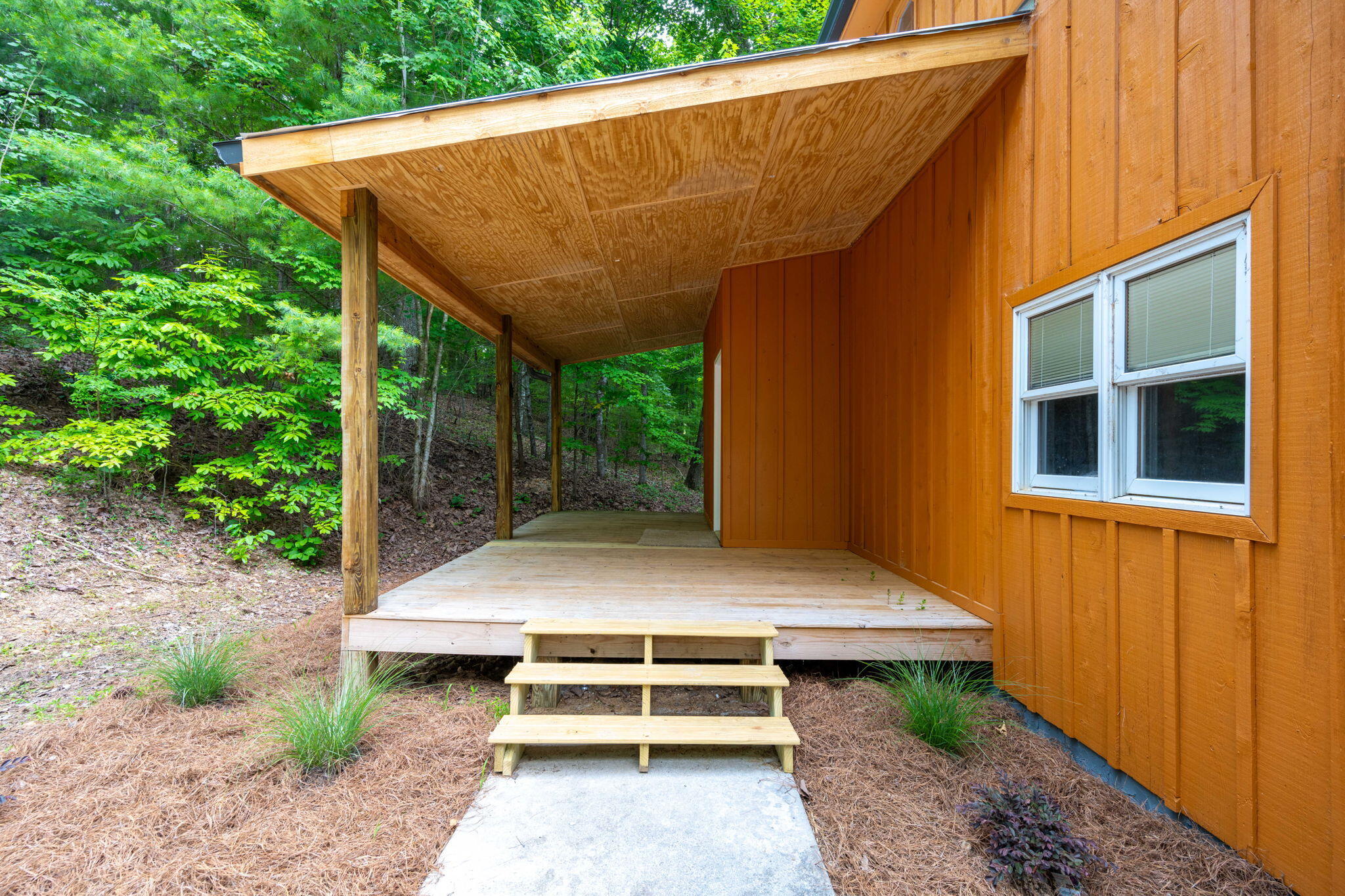 347 Hickory Drive Spring City, TN 37381 - Photo 5 of 31 5-web-or-mls-DSC_8153