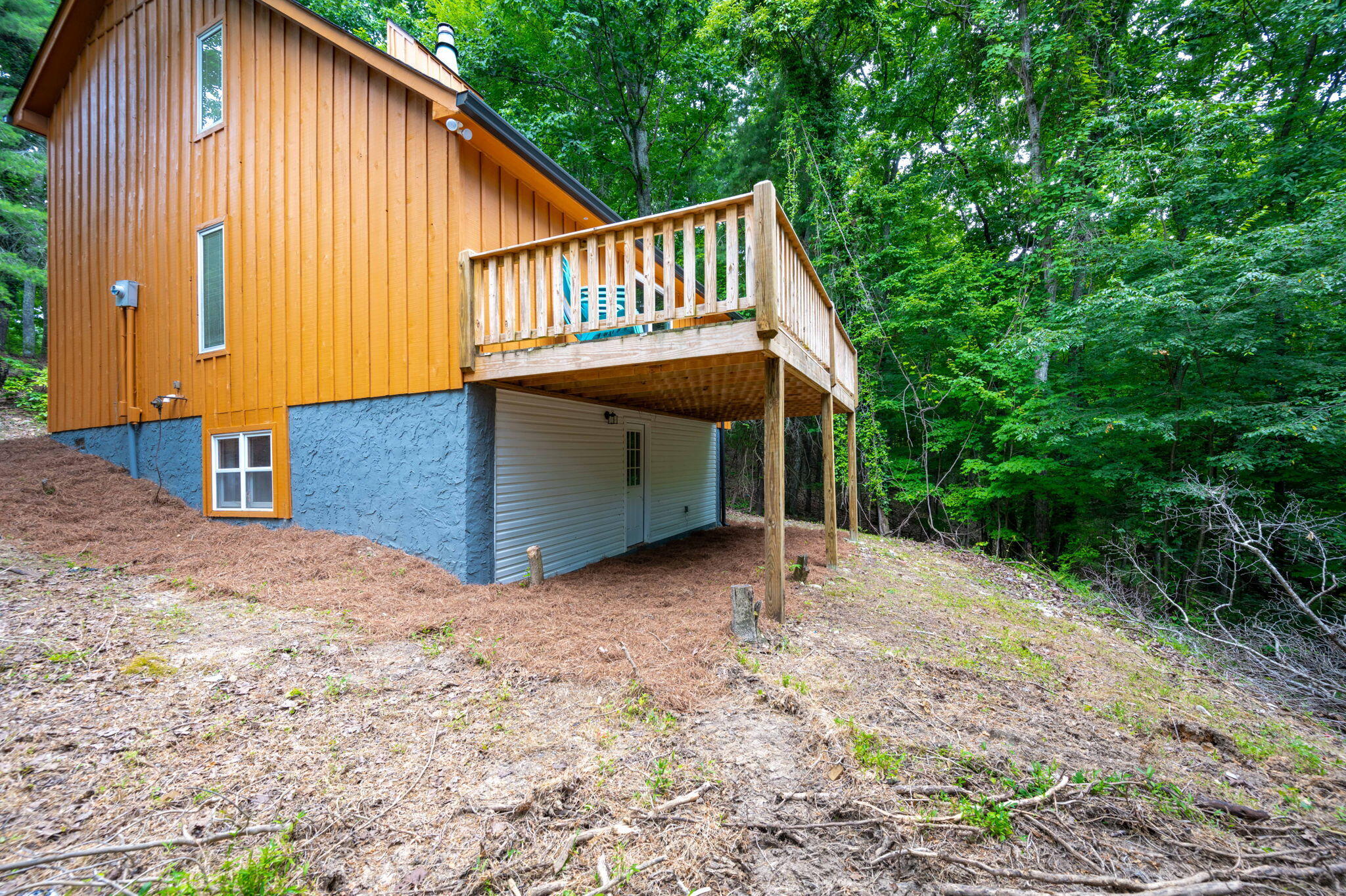 347 Hickory Drive Spring City, TN 37381 - Photo 6 of 31 6-web-or-mls-DSC_8154