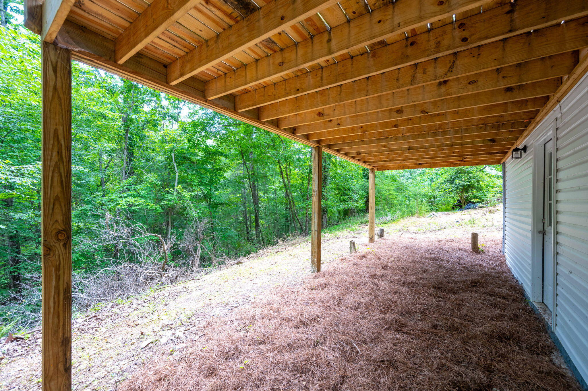 347 Hickory Drive Spring City, TN 37381 - Photo 7 of 31 7-web-or-mls-DSC_8155