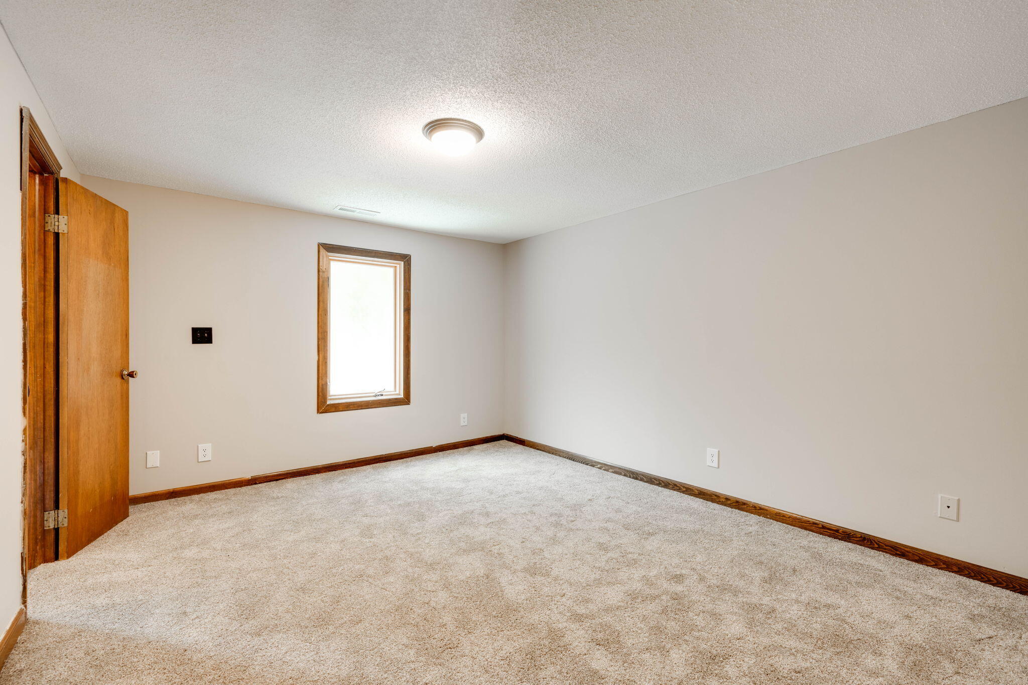 347 Hickory Drive Spring City, TN 37381 - Photo 9 of 31 9-web-or-mls-DSC_8159