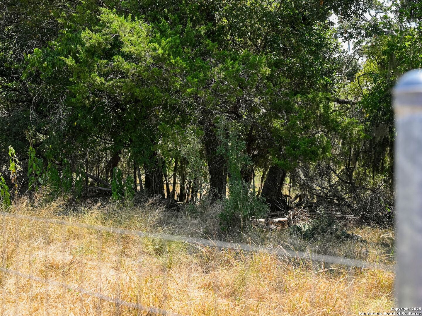 6766 Spring Branch Road Spring Branch, TX 78070 - Photo 40 of 63 a view of outdoor space and a yard