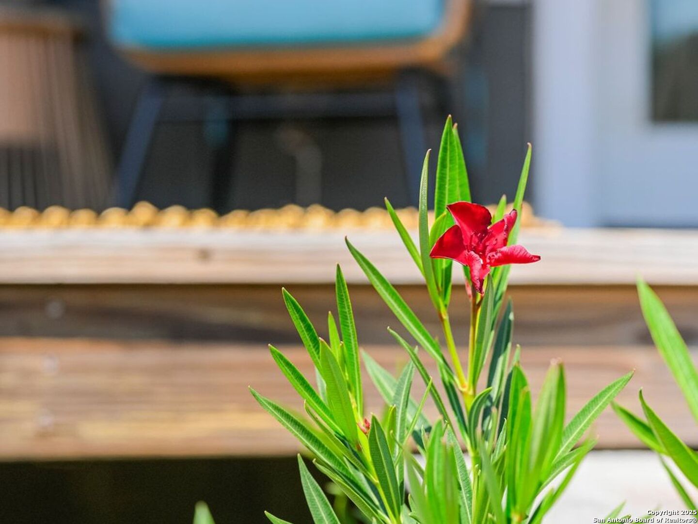 6766 Spring Branch Road Spring Branch, TX 78070 - Photo 42 of 63