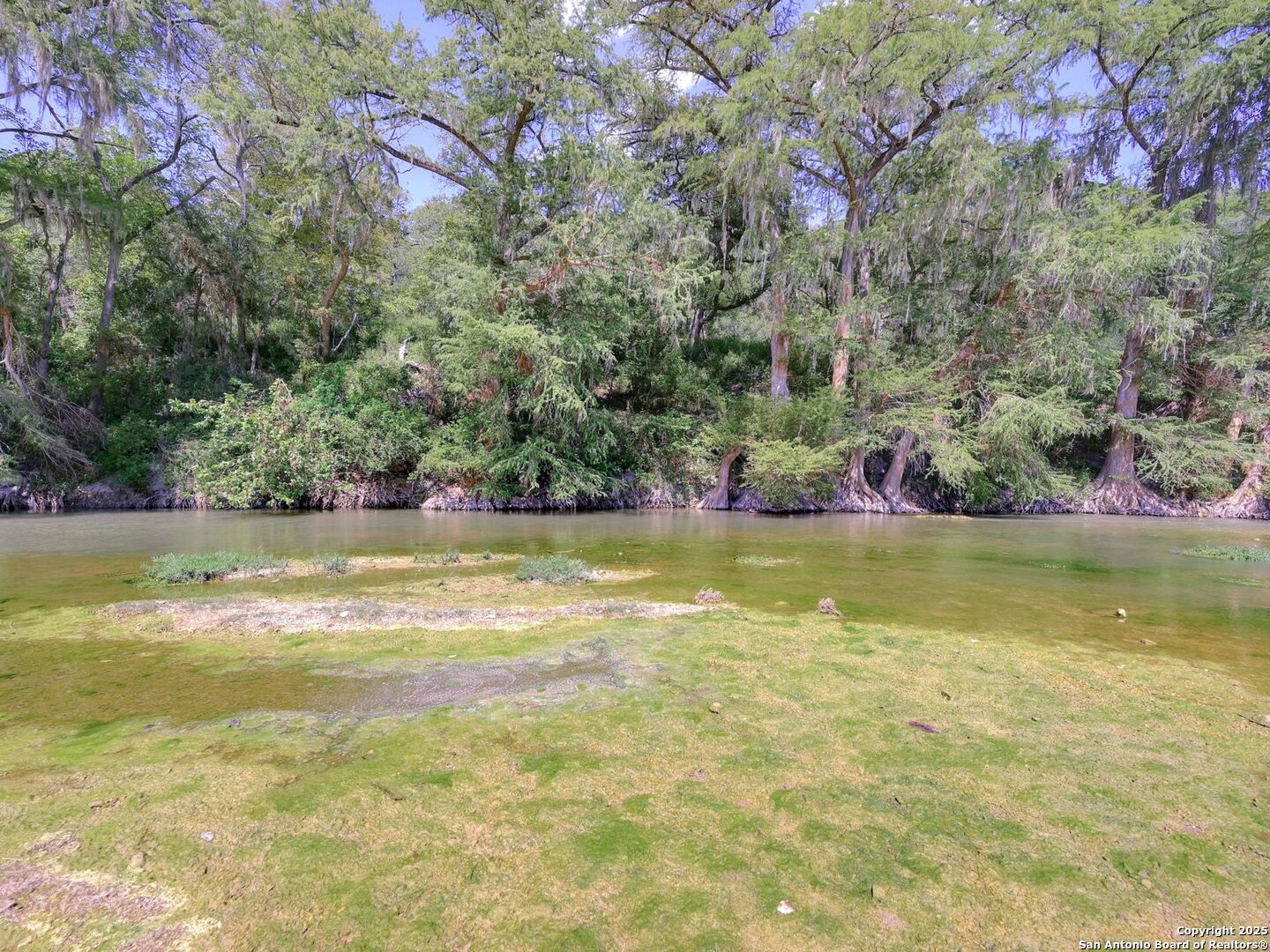 6766 Spring Branch Road Spring Branch, TX 78070 - Photo 51 of 63 a view of a swimming pool and a yard