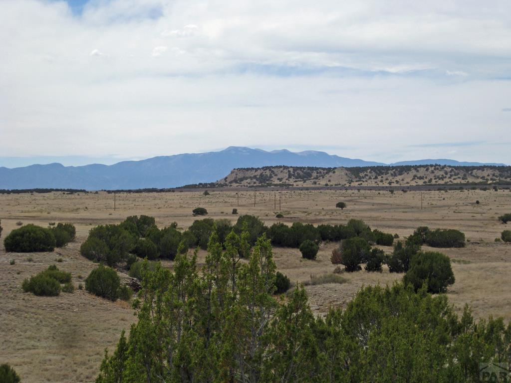 Lot 124 Steam Engine Road Rye, CO 81069 - Photo 1 of 1