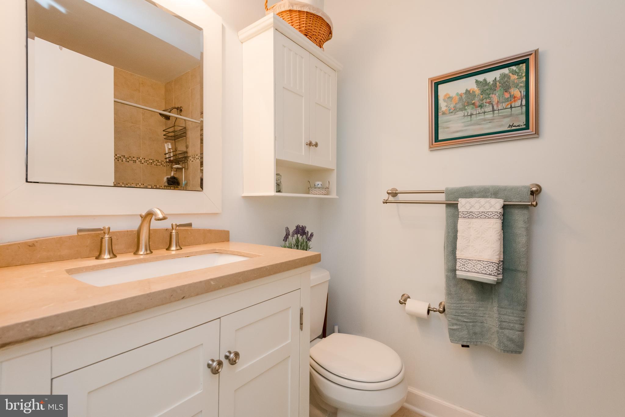 1426 Gilbert Road Arnold, MD 21012 - Photo 18 of 46 Hall Bathroom